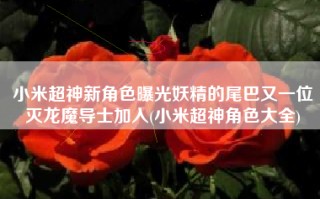 小米超神新角色曝光妖精的尾巴又一位灭龙魔导士加入(小米超神角色大全)