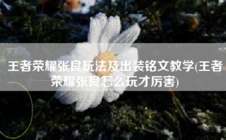 王者荣耀张良玩法及出装铭文教学(王者荣耀张良怎么玩才厉害)