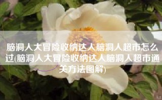 脑洞人大冒险收纳达人脑洞人超市怎么过(脑洞人大冒险收纳达人脑洞人超市通关方法图解)