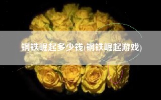 钢铁崛起多少钱(钢铁崛起游戏)