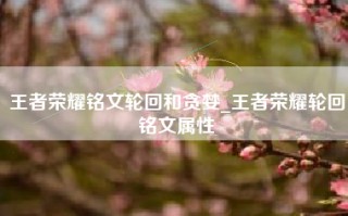 王者荣耀铭文轮回和贪婪_王者荣耀轮回铭文属性