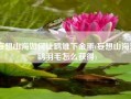 妄想山海如何让鹞雉下金蛋(妄想山海翠鹞羽毛怎么获得)