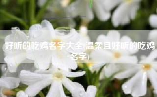好听的吃鸡名字大全(温柔且好听的吃鸡名字)