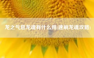 龙之气息龙魂有什么用(速刷龙魂攻略)