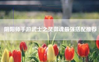 阴阳师手游武士之灵御魂最强搭配推荐