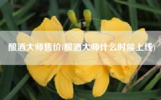 酿酒大师售价(酿酒大师什么时候上线)