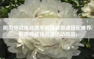 阴阳师战场巡逻平民阵容御魂搭配推荐(阴阳师战场巡逻活动阵容)