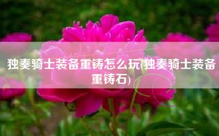 独奏骑士装备重铸怎么玩(独奏骑士装备重铸石)