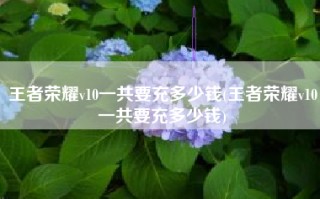 王者荣耀v10一共要充多少钱(王者荣耀v10一共要充多少钱)