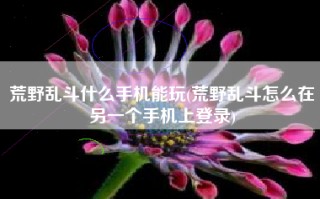 荒野乱斗什么手机能玩(荒野乱斗怎么在另一个手机上登录)