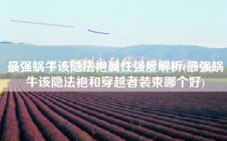 最强蜗牛该隐法袍属性强度解析(最强蜗牛该隐法袍和穿越者装束哪个好)