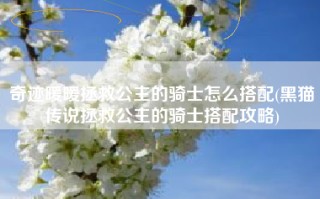 奇迹暖暖拯救公主的骑士怎么搭配(黑猫传说拯救公主的骑士搭配攻略)