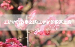王铲铲的致富之路(王铲铲的致富之路)