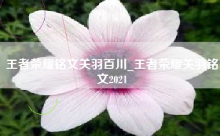 王者荣耀铭文关羽百川_王者荣耀关羽铭文2021