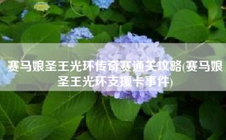赛马娘圣王光环传奇赛通关攻略(赛马娘圣王光环支援卡事件)