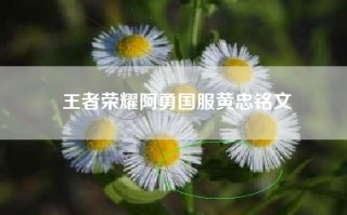 王者荣耀阿勇国服黄忠铭文