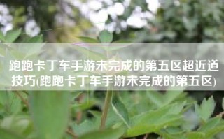 跑跑卡丁车手游未完成的第五区超近道技巧(跑跑卡丁车手游未完成的第五区)