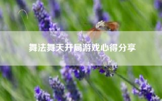舞法舞天开局游戏心得分享