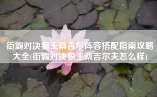 街霸对决狼王桑吉尔阵容搭配指南攻略大全(街霸对决狼王桑吉尔夫怎么样)