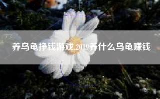 养乌龟挣钱游戏,2019养什么乌龟赚钱