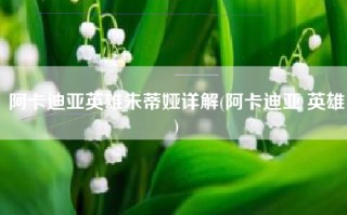 阿卡迪亚英雄朱蒂娅详解(阿卡迪亚 英雄)