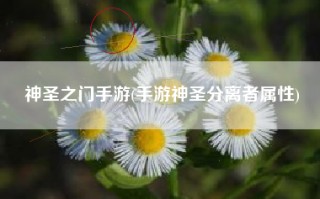 神圣之门手游(手游神圣分离者属性)