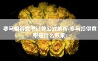 赛马娘得意率计算公式解析(赛马娘得意率是什么效果)
