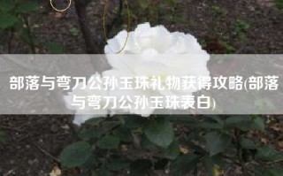 部落与弯刀公孙玉珠礼物获得攻略(部落与弯刀公孙玉珠表白)