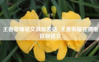 王者荣耀铭文获取表格_王者荣耀在哪里获取铭文