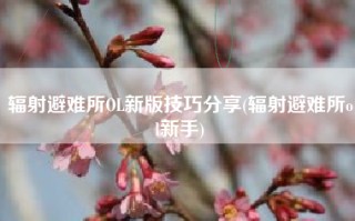 辐射避难所OL新版技巧分享(辐射避难所ol新手)
