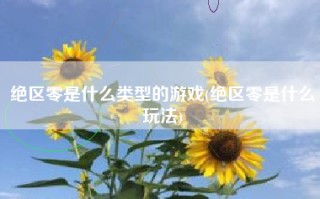 绝区零是什么类型的游戏(绝区零是什么玩法)
