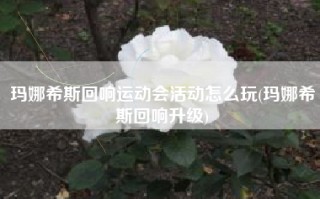 玛娜希斯回响运动会活动怎么玩(玛娜希斯回响升级)
