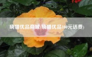 晓猫优品商城(晓猫优品100元话费)