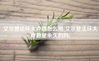艾尔登法环大卢恩怎么用(艾尔登法环大卢恩是永久的吗)