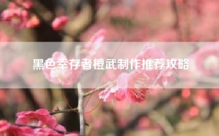 黑色幸存者橙武制作推荐攻略