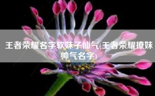 王者荣耀名字软妹子仙气(王者荣耀撩妹帅气名字)