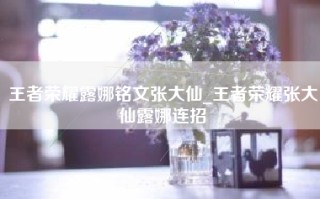 王者荣耀露娜铭文张大仙_王者荣耀张大仙露娜连招