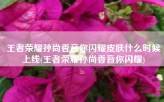 王者荣耀孙尚香音你闪耀皮肤什么时候上线(王者荣耀孙尚香音你闪耀)