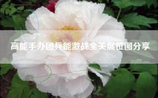 高能手办团兵能激战全关展位图分享