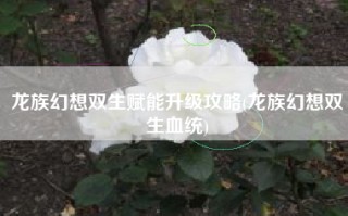 龙族幻想双生赋能升级攻略(龙族幻想双生血统)