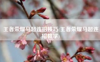 王者荣耀马超连招技巧(王者荣耀马超连招教学)