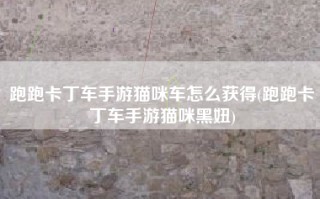 跑跑卡丁车手游猫咪车怎么获得(跑跑卡丁车手游猫咪黑妞)