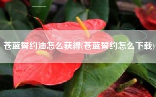 苍蓝誓约油怎么获得(苍蓝誓约怎么下载)