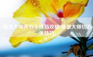 翡翠大师开石头技巧攻略(翡翠大师切石头技巧)