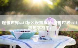魔兽世界wa11怎么设置跟随(魔兽世界wa11跟随字符串)