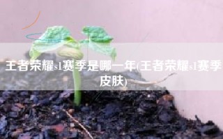 王者荣耀s1赛季是哪一年(王者荣耀s1赛季皮肤)