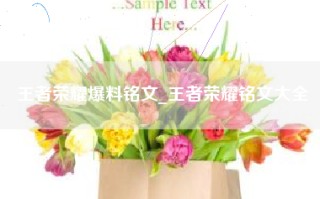 王者荣耀爆料铭文_王者荣耀铭文大全