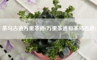 茶马古道万里茶道(万里茶道和茶马古道)