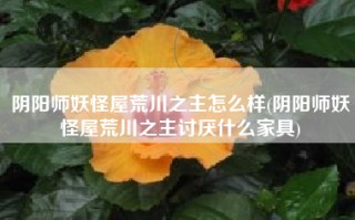 阴阳师妖怪屋荒川之主怎么样(阴阳师妖怪屋荒川之主讨厌什么家具)
