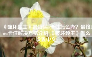 《破坏领主》最终boss卡住怎么办？最终boss卡住解决方法介绍(《破坏领主》怎么设置中文)
